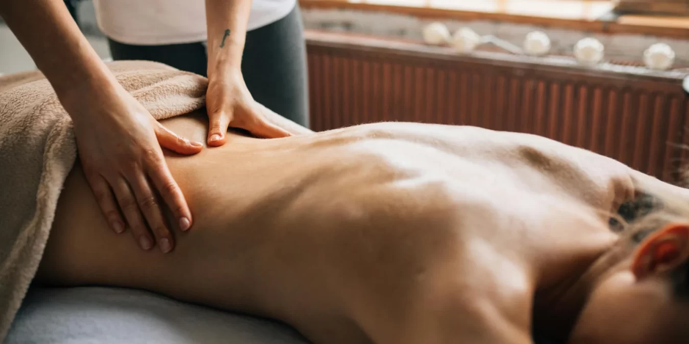 Masaje terapéutico en la espalda de un cliente, con un masajista aplicando técnicas de relajación en un entorno acogedor.